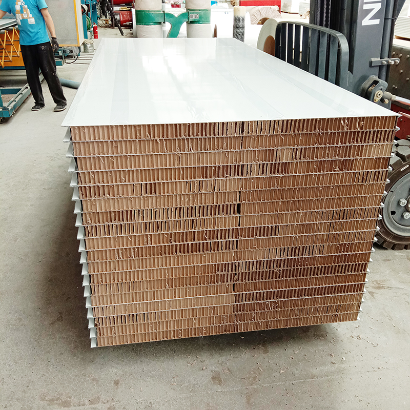 紙蜂窩凈化板,紙蜂窩凈化板廠家,紙蜂窩機制凈化板,紙蜂窩凈化板批發(fā),紙蜂窩凈化板價格